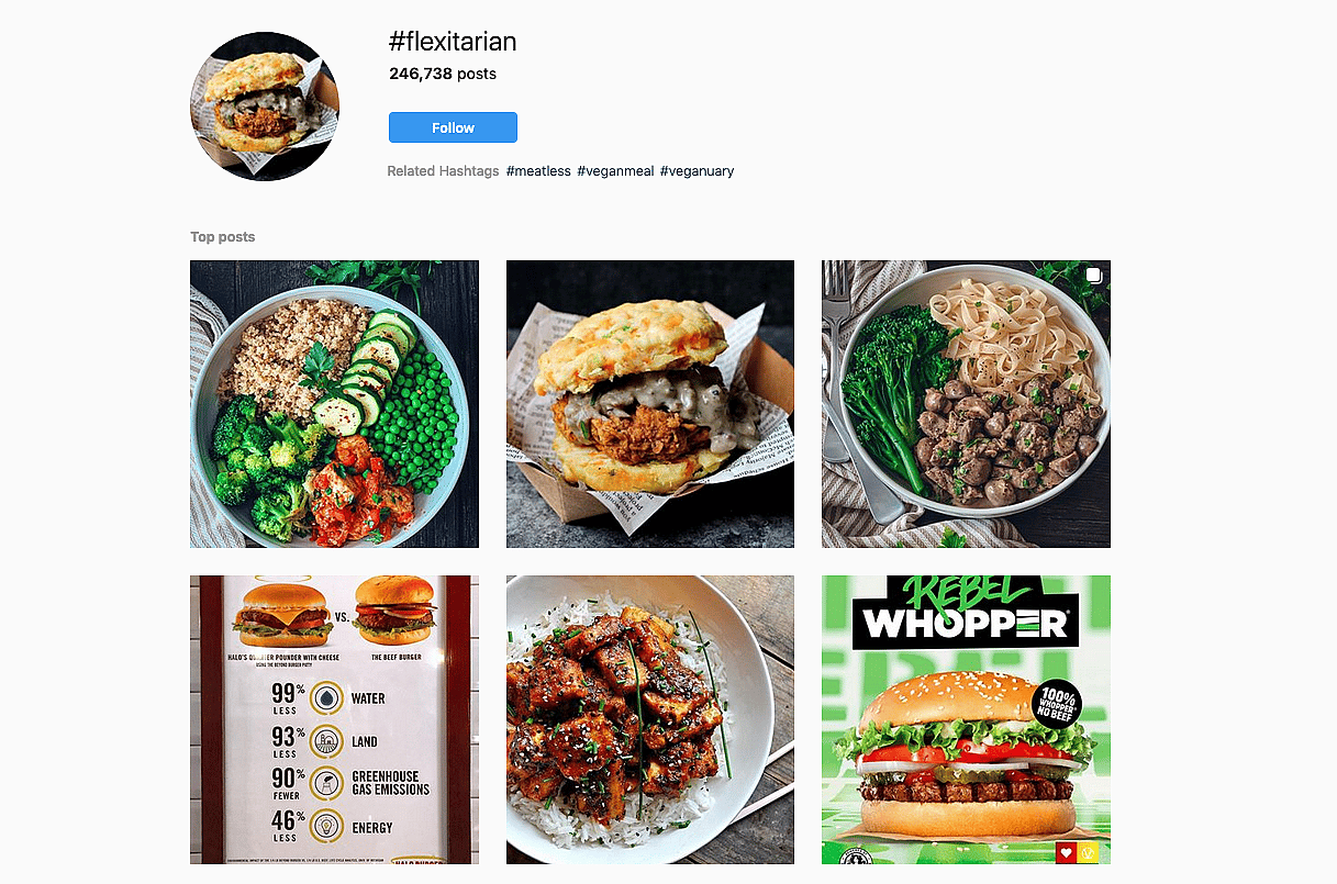 Vegan brands flexitarian The Grocer Article