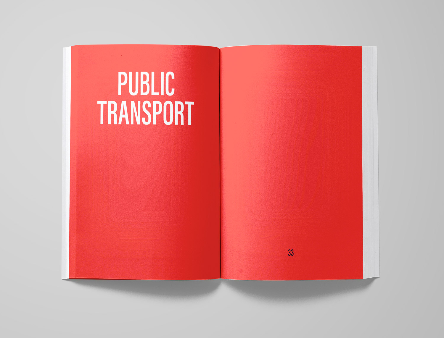 The Inconvenience of Human Movement: Public Transport